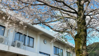 春の施設紹介 ― 視聴覚室前の桜が見頃です